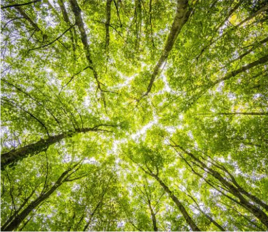 LavaAhora - Medio ambiente - imagen 1 2