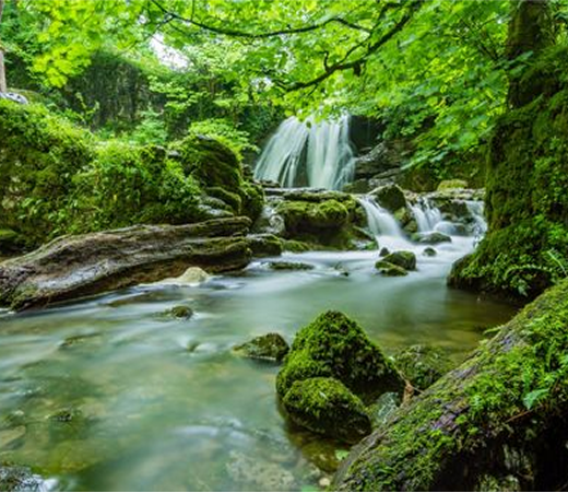 LavaAhora - Medio ambiente - imagen 4